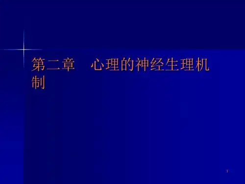 神经生理机制ppt课件