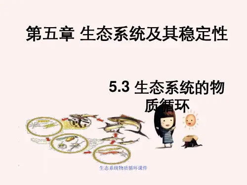 生态系统物质循环课件
