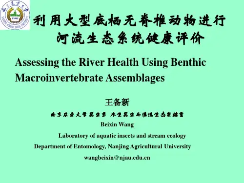 河湖健康评估利用大型底栖无脊椎动物进行河流生态系统健康评价