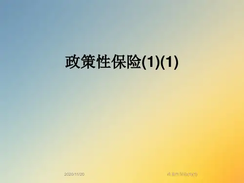 政策性保险(1)(1)