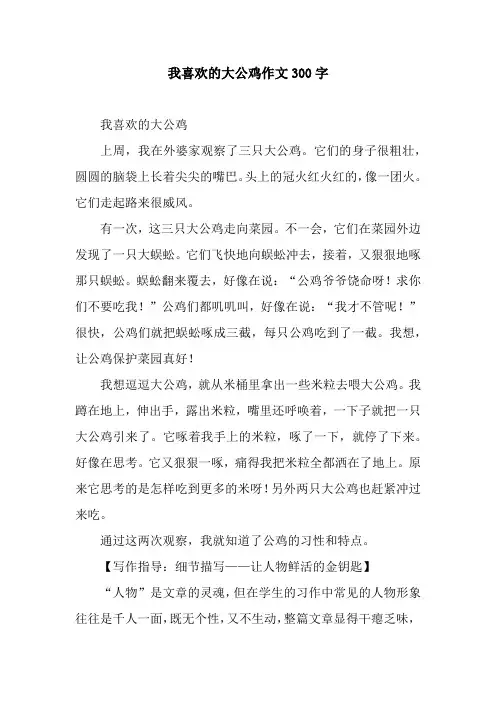 我喜欢的大公鸡作文300字_1