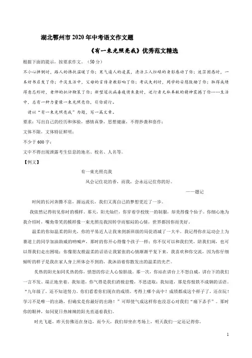 湖北鄂州市2020年中考语文作文题《有一束光照亮我》优秀范文精选