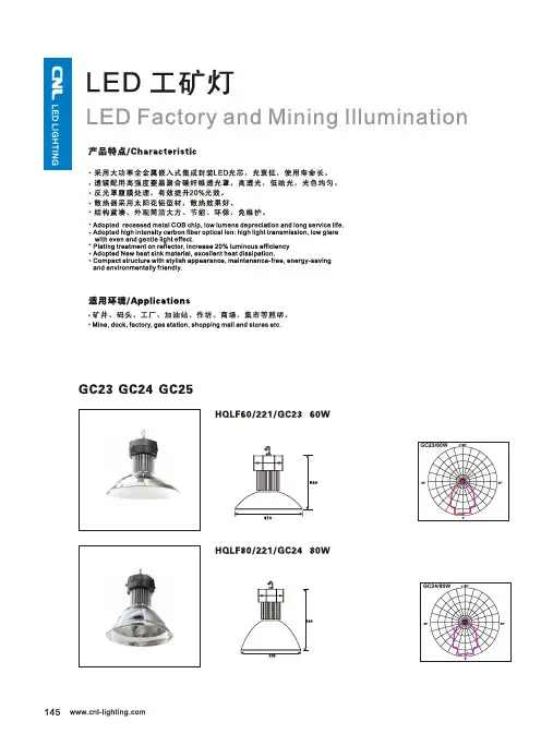 中照光电cnl-led工矿灯