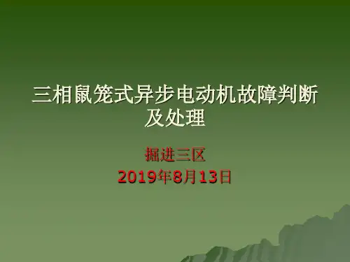 鼠笼式电动机故障判定方法