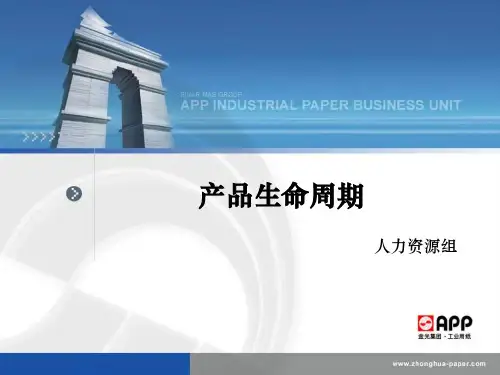 产品生命周期