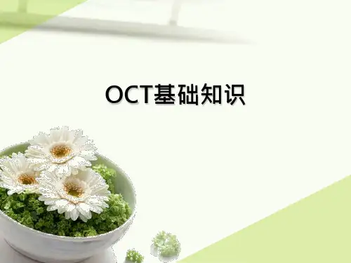 OCT基础知识课件