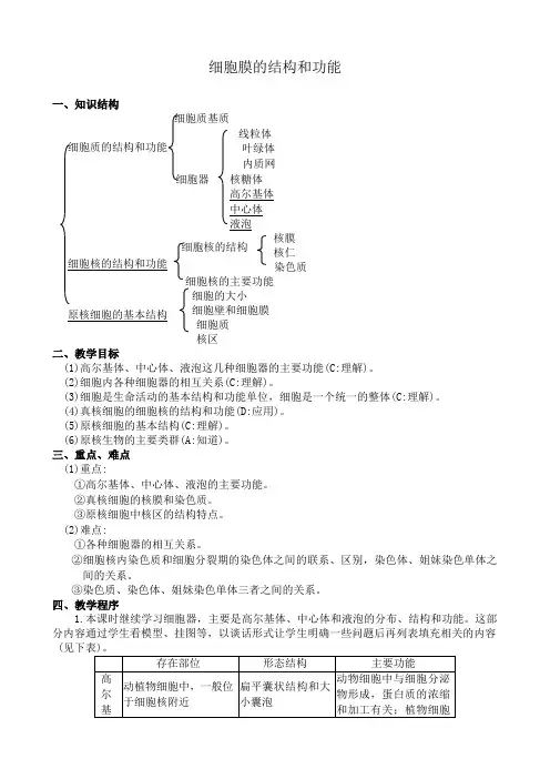 人教版高中生物必修1细胞膜的结构和功能3