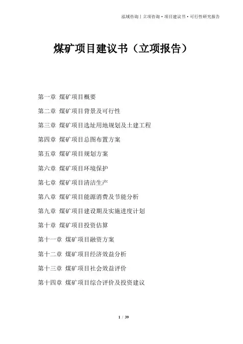 煤矿项目建议书(立项报告)