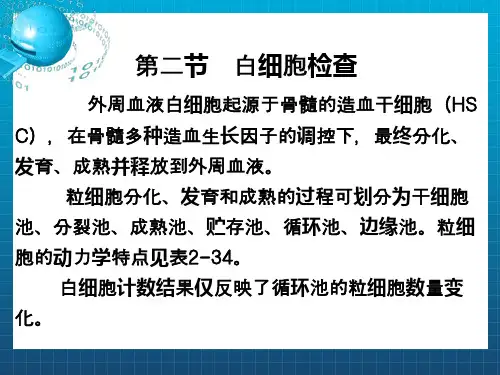 血液一般检验03白细胞部分上