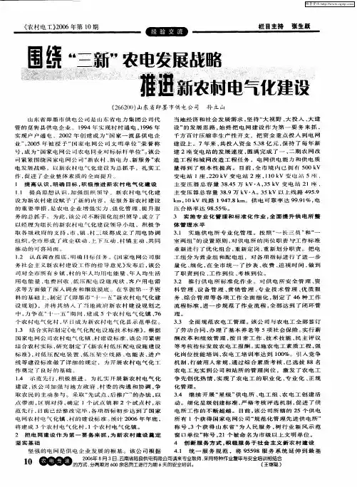 围绕“三新”农电发展战略 推进新农村电气化建设