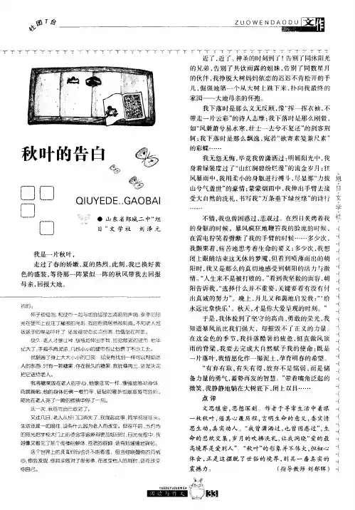秋叶的告白