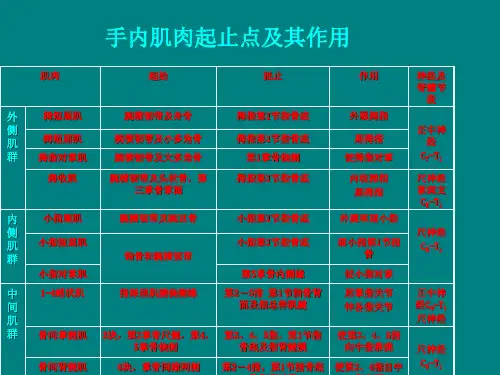 全身肌肉起止点9个图