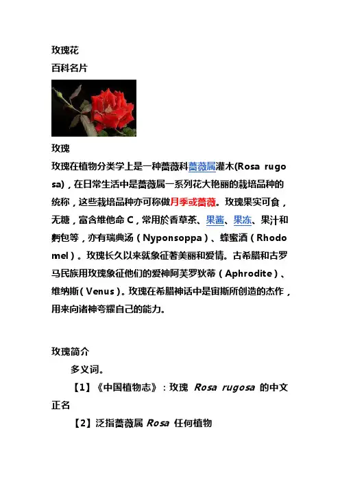 玫瑰花