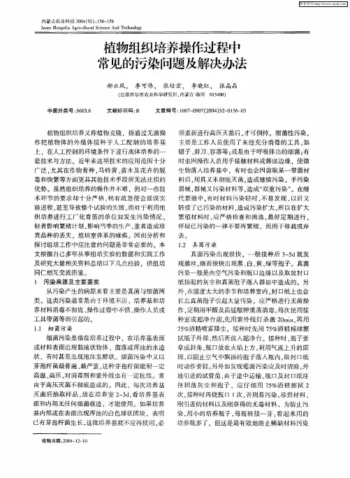植物组织培养操作过程中常见的污染问题及解决办法