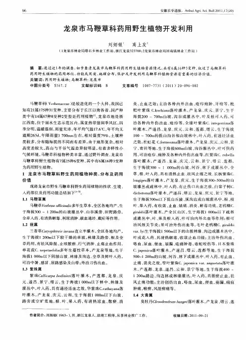 龙泉市马鞭草科药用野生植物开发利用