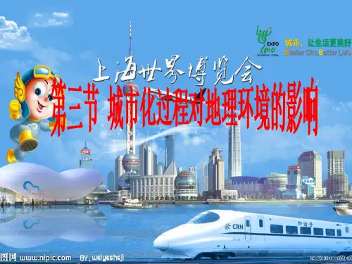 城市化对地理环境的影响