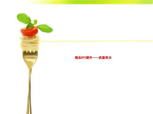 精品PPT课件----武器常识