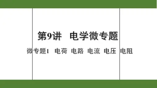 2020年浙江物理中考专题复习第9讲电学之微专题1  电荷  电路  电流    电压  电阻