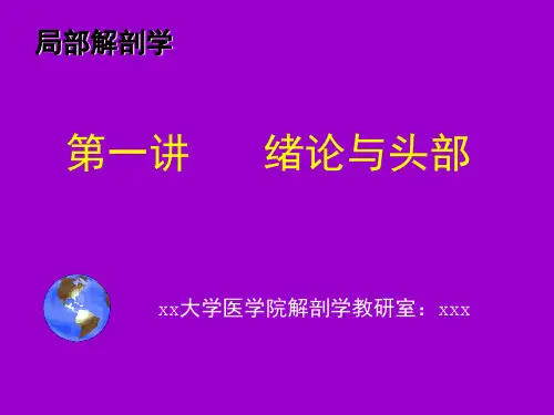 经典:头部课件局部解剖学
