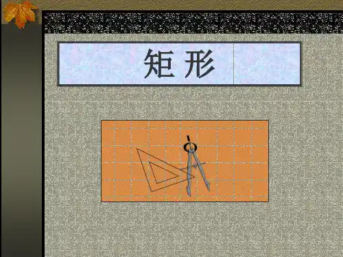 矩形的性质12