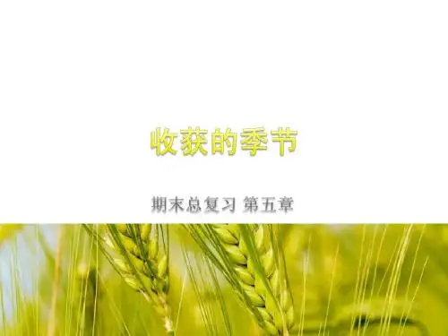 第五章平行线与相交线期末复习课件