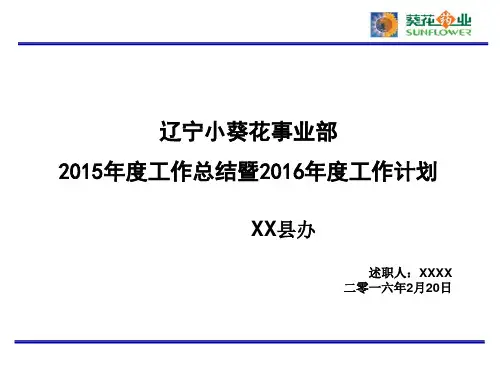 2015年度总结暨2016度工作报告(模板)