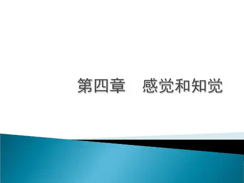 第四章  感觉和知觉PPT课件