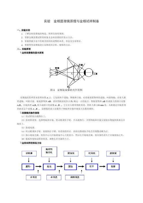 (机电) 实验  金相试样制备