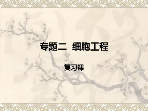 人教版高二生物选修三课件：专题二细胞工程复习题课(24张PPT)