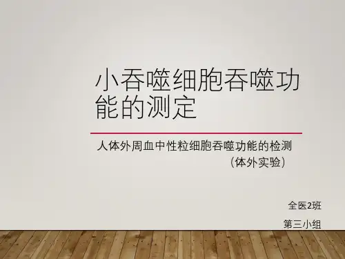 小吞噬细胞吞噬功能的测定
