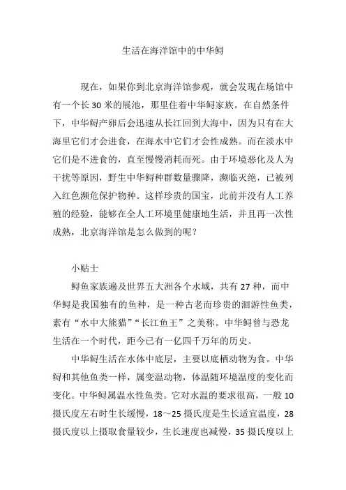 生活在海洋馆中的中华鲟