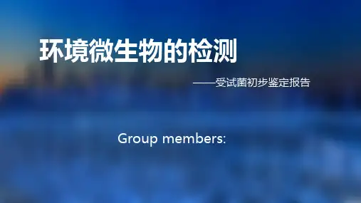 细菌鉴定流程 PPT课件