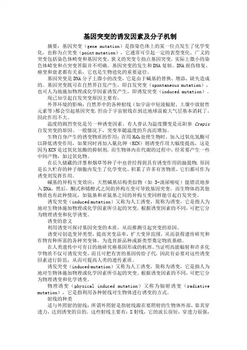 基因突变的诱发因素和分子机制