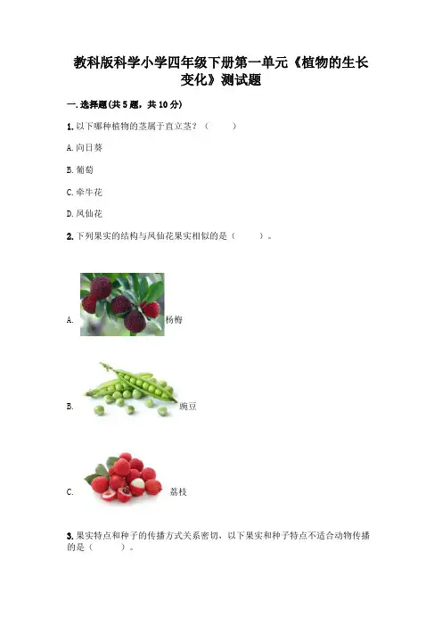 教科版科学小学四年级下册第一单元《植物的生长变化》测试题及完整答案【考点梳理】