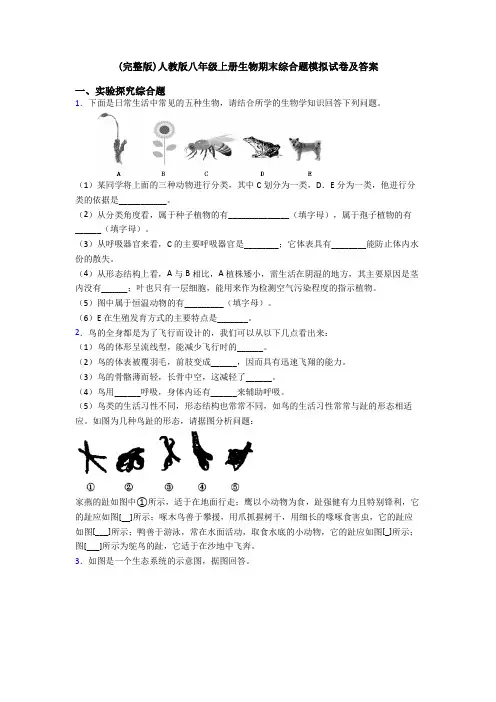 (完整版)人教版八年级上册生物期末综合题模拟试卷及答案