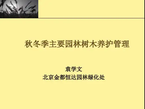 园林树木冬季修剪