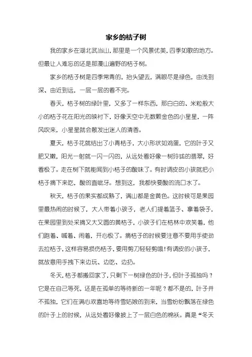 三年级作文：家乡的桔子树作文600字
