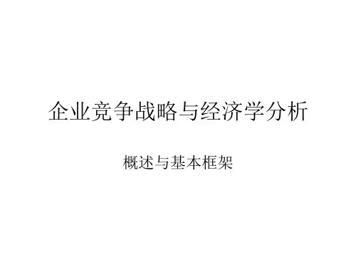 企业竞争战略与经济学分析.pptx