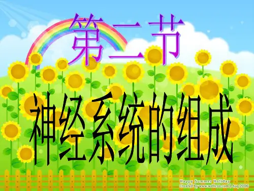 第二节 神经系统的组成