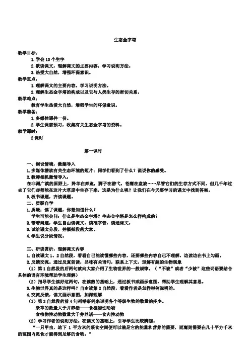 《生态金字塔》教案