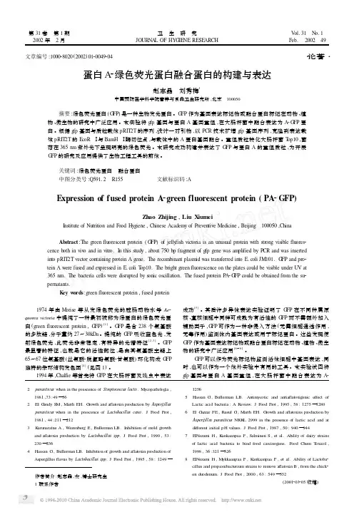 蛋白A_绿色荧光蛋白融合蛋白的构建与表达
