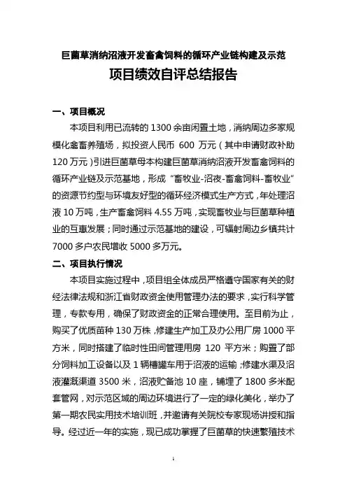 项目绩效自评总结报告