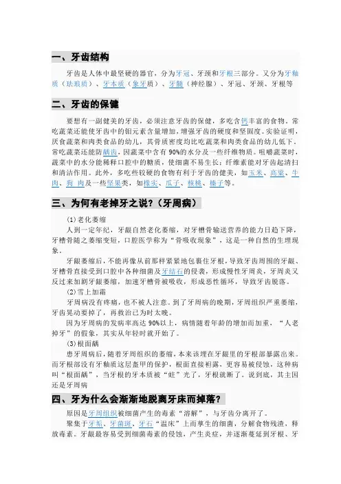 牙齿相关知识