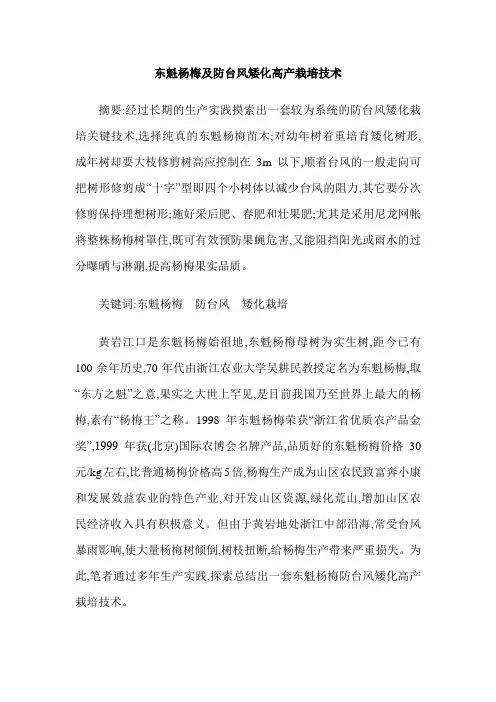 东魁杨梅及防台风矮化高产栽培技术