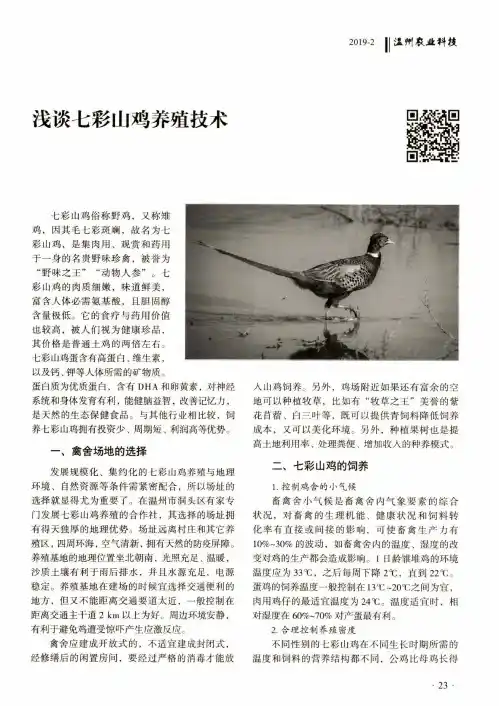 浅谈七彩山鸡养殖技术