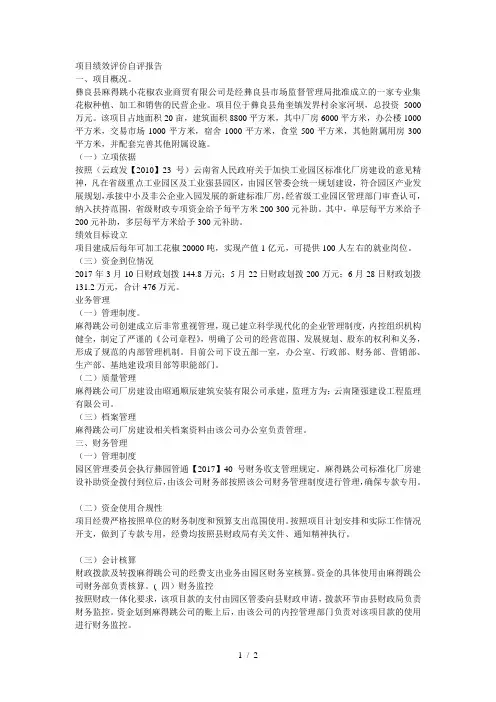 项目绩效评价自评报告
