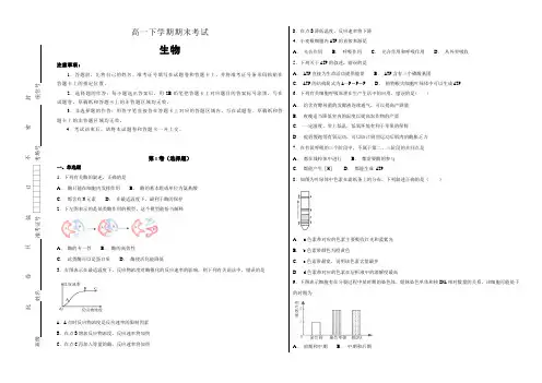 高一年级下学期期末考试生物试题(解析版)