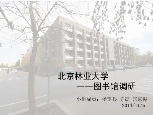 北林图书馆