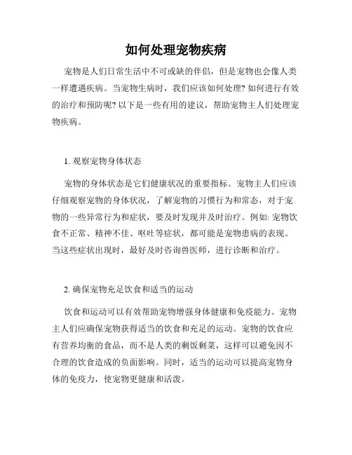 如何处理宠物疾病