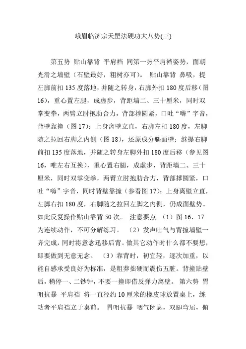 峨眉临济宗天罡法硬功大八势(三)